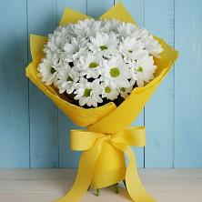 Букет цветов из:  Хризантемы в Новые Лапсары