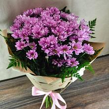 Букет цветов из:  Хризантемы #REPLACE_PRED# Новые Лапсары