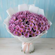 Букет цветов из:  Хризантемы #REPLACE_PRED# Новые Лапсары