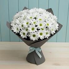 Букет цветов из:  Хризантемы в Новые Лапсары