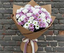 Букет цветов из:  Хризантемы #REPLACE_PRED# Новые Лапсары