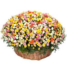 Премиум букет из: Розы #REPLACE_PRED# Новые Лапсары