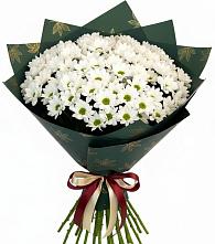 Букет цветов из:  Хризантемы #REPLACE_PRED# Новые Лапсары