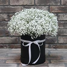 Цветочная композиция из Гипсофила в шляпной коробке #REPLACE_PRED# Новые Лапсары
