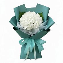 Букет цветов из:  Гортензия #REPLACE_PRED# Новые Лапсары